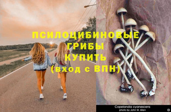 тгк Абаза