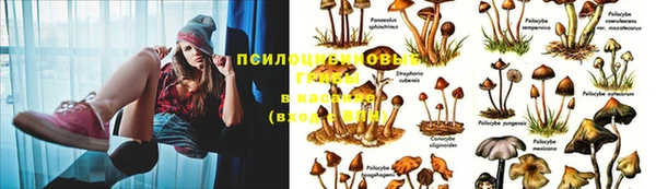 герыч Михайлов
