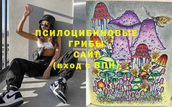 тгк Абаза