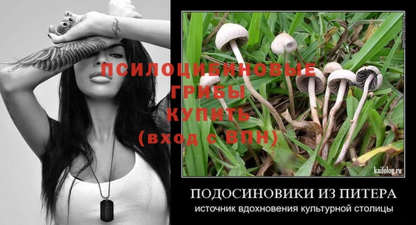 шишки Абинск