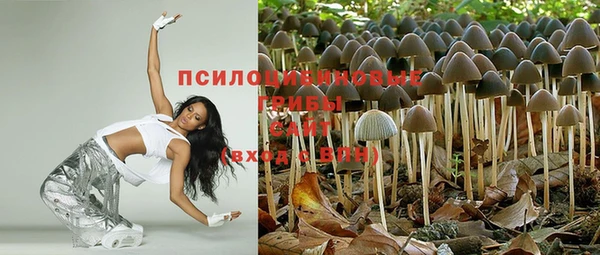 тгк Абаза