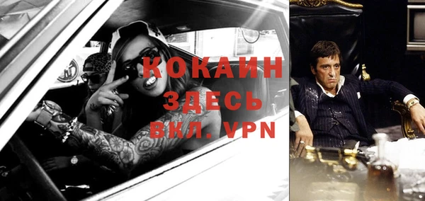 тгк Абаза