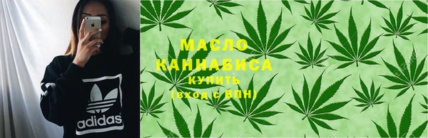 тгк Абаза